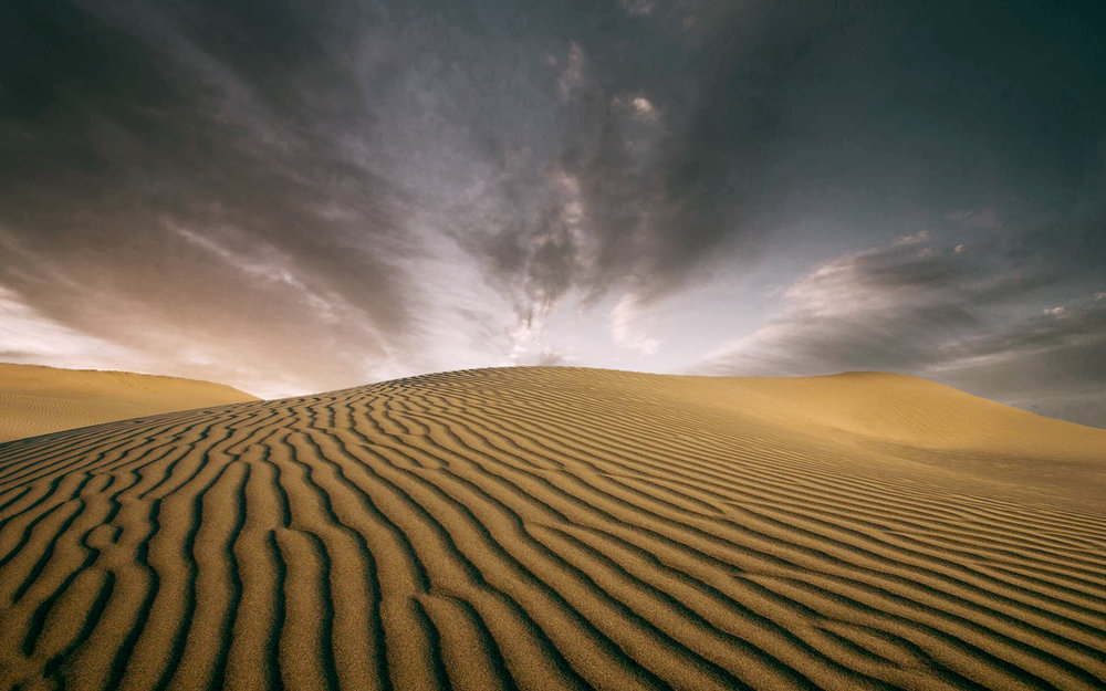 DesertBeauty