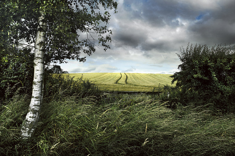 FieldBeyondPRINT