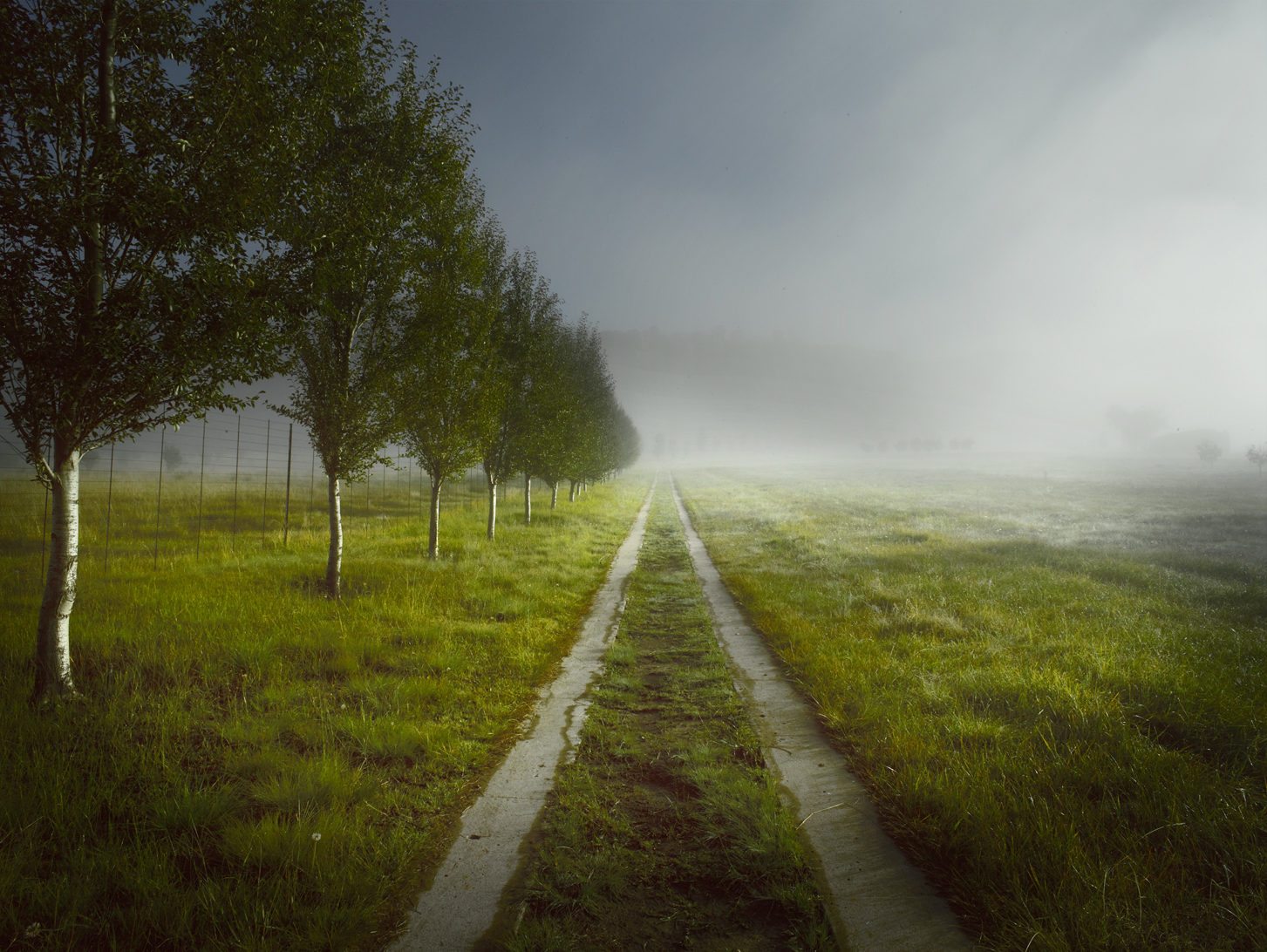 Mist39