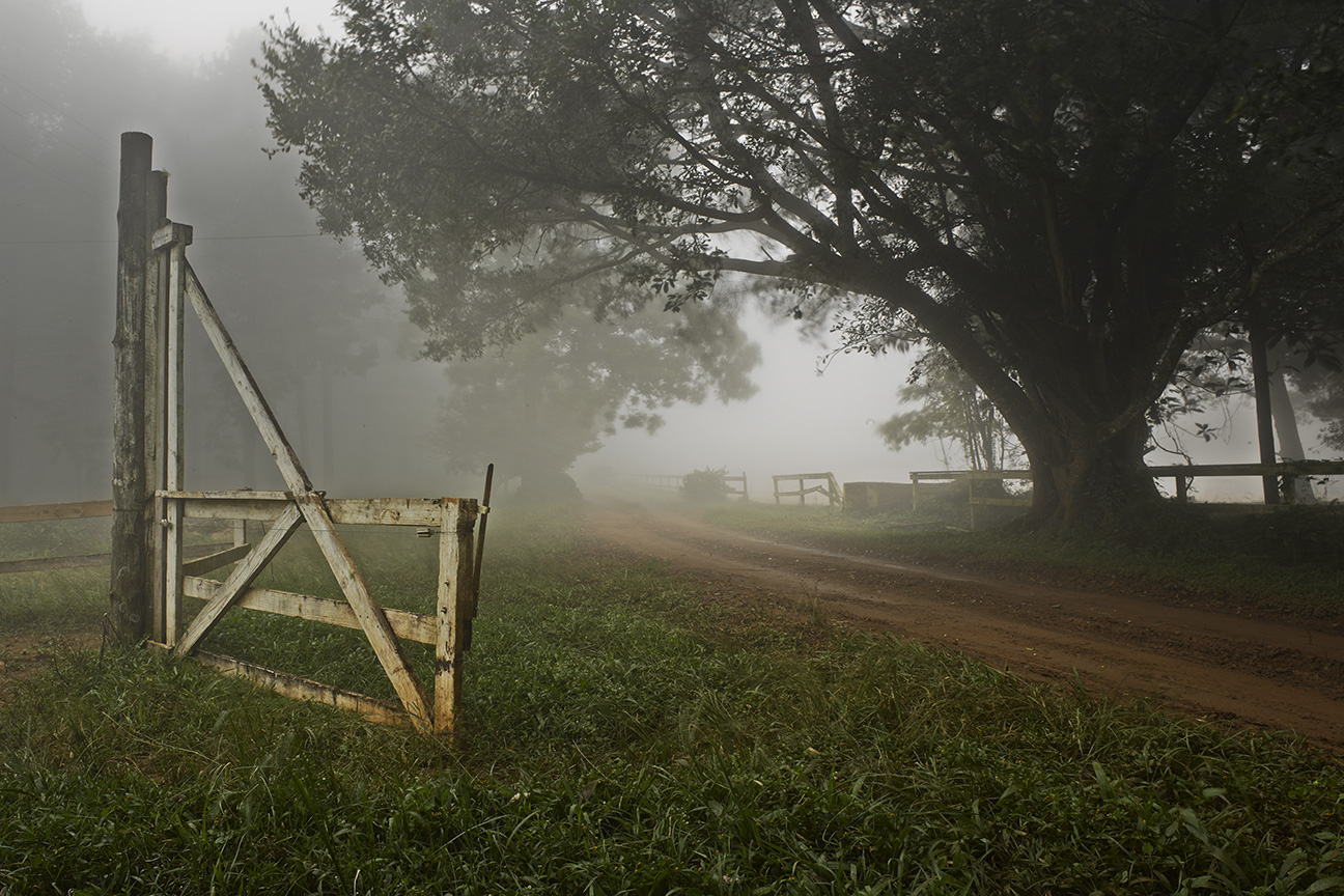 OldFenceMistcopy2