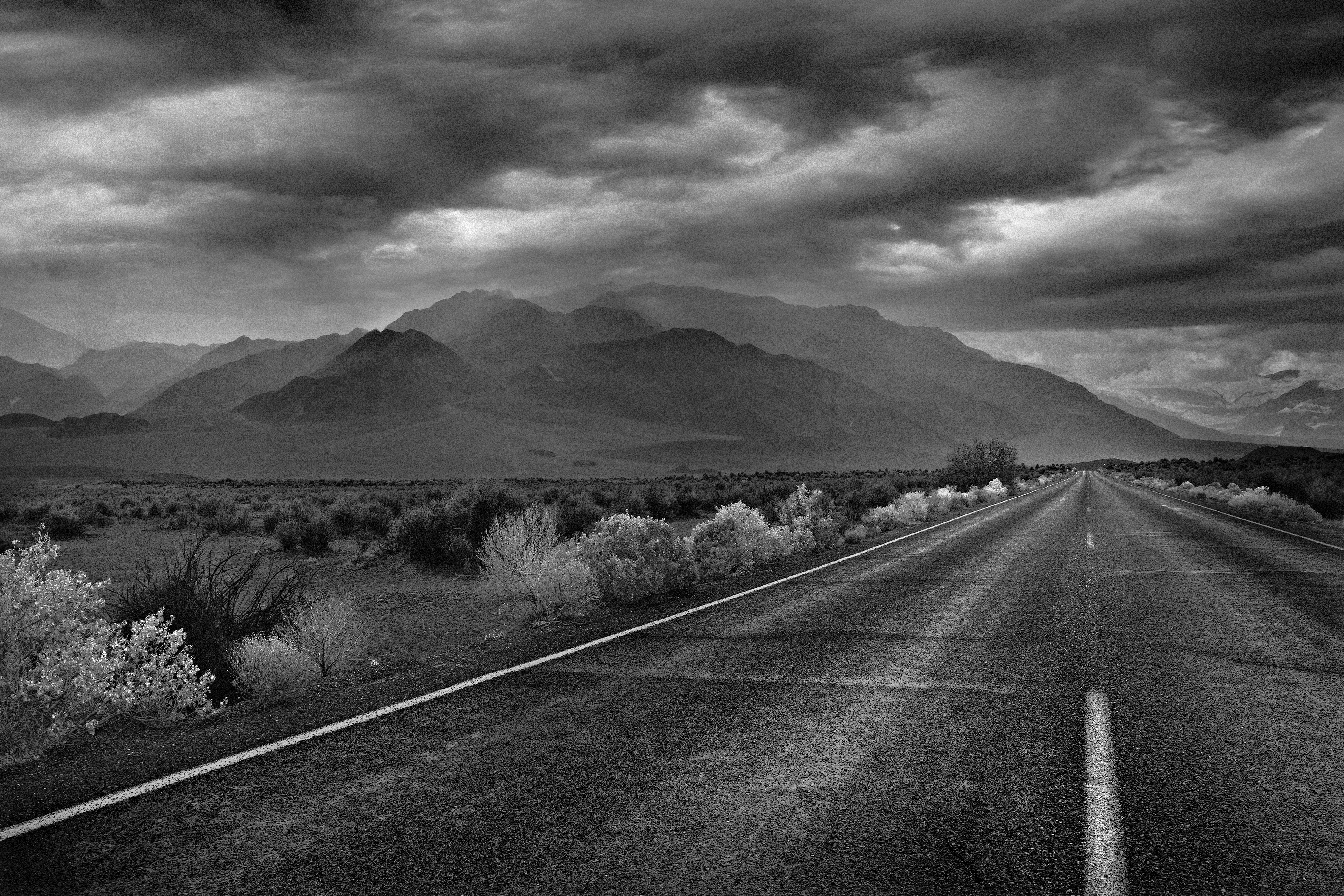 RoadMistBWcopy