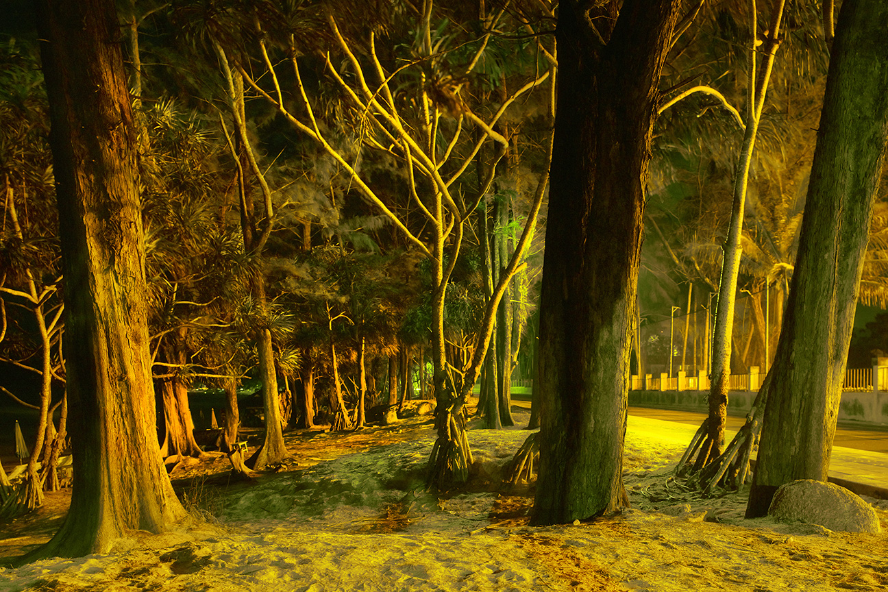 ThaiBlurTrees